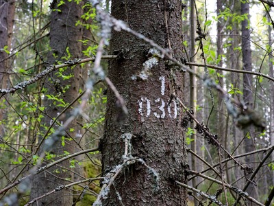 Marteloskooppi, Joensuun metsäntutkimusyksikkö.